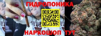 шишки Чебоксары