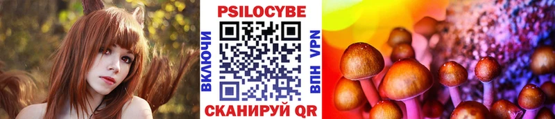 Галлюциногенные грибы Cubensis  цена   блэк спрут ONION  Павловский Посад 