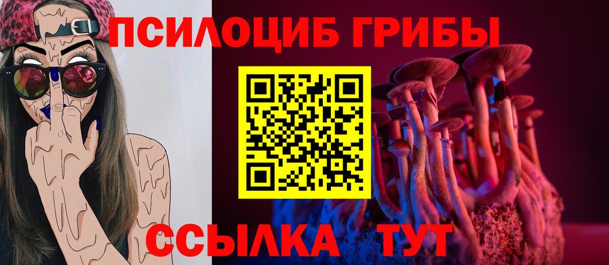 Павловский Посад  Галлюциногенные грибы Cubensis  Псилоцибиновые грибы GOLDEN TEACHER  наркота  Вход с VPN 